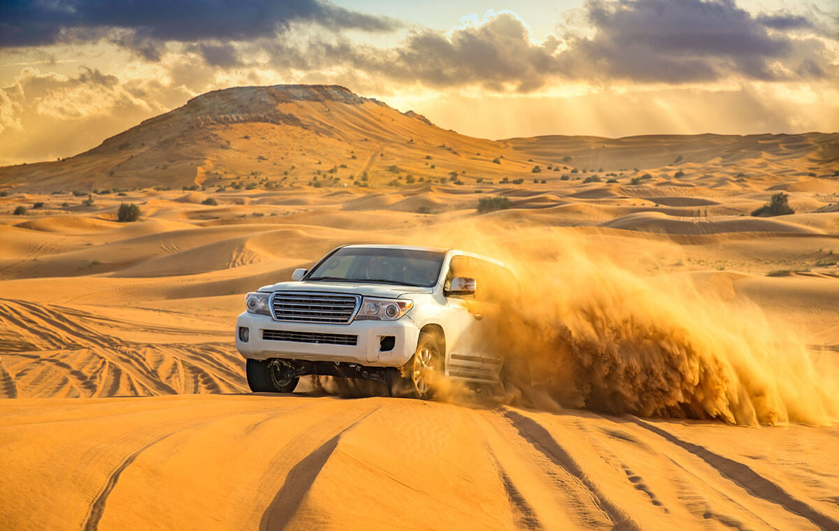 Embark on a Desert Safari